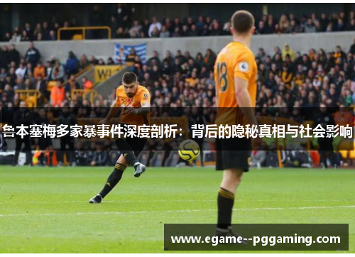 鲁本塞梅多家暴事件深度剖析：背后的隐秘真相与社会影响