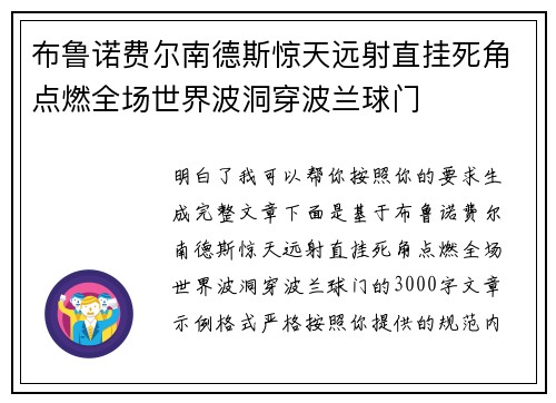 布鲁诺费尔南德斯惊天远射直挂死角点燃全场世界波洞穿波兰球门
