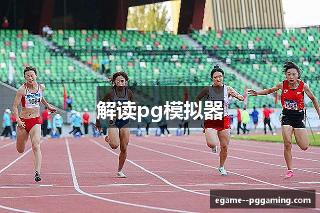 解读pg模拟器
